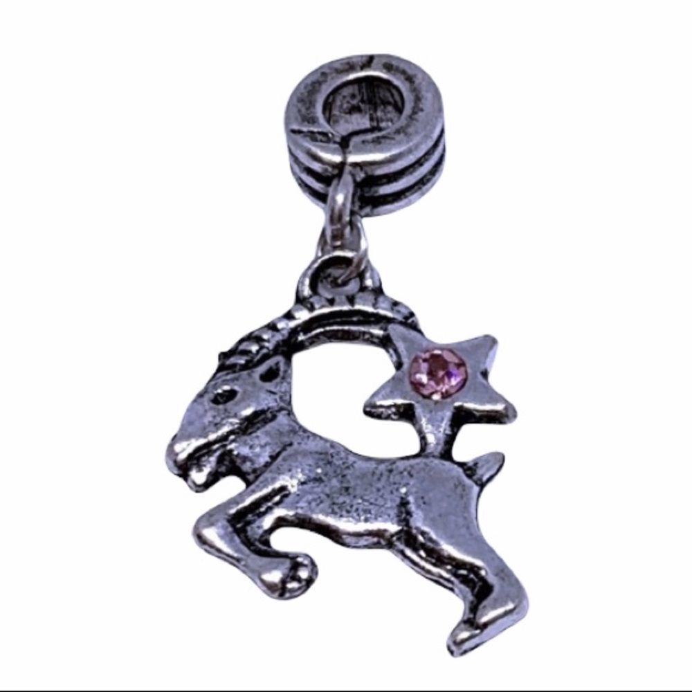 Capricorn Charm/Pendant 